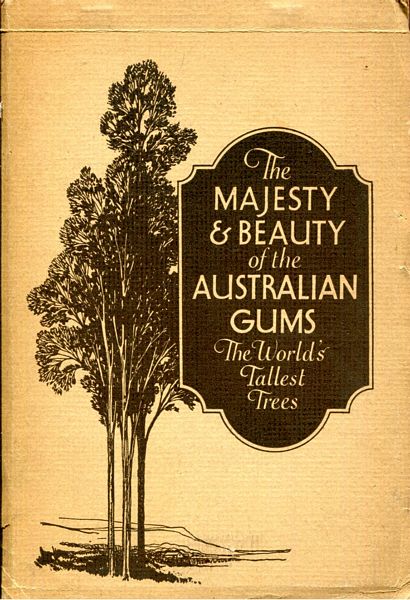  - Majesty & Beauty of the Australian Gums. The World's Tallest Trees.