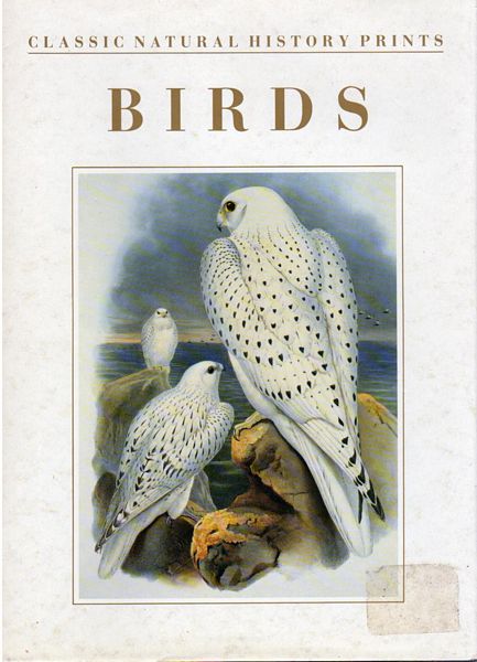 DANCE, S. PETER. - Birds. Classic Natural History Prints.