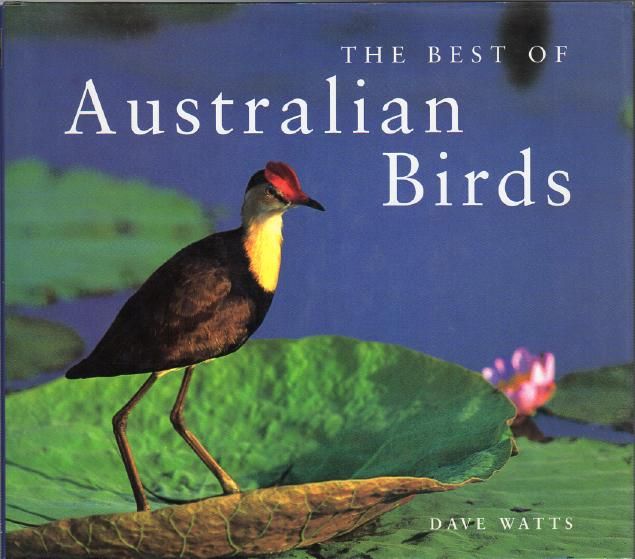 WATTS, DAVE. - The Best of Australian Birds.