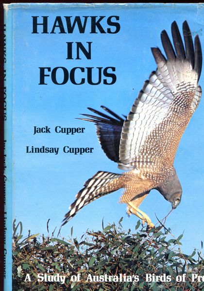 CUPPRT, JACK; CUPPER, LINDSAY. - Hawks In Focus. A Study Of Australia's Birds Of Prey.