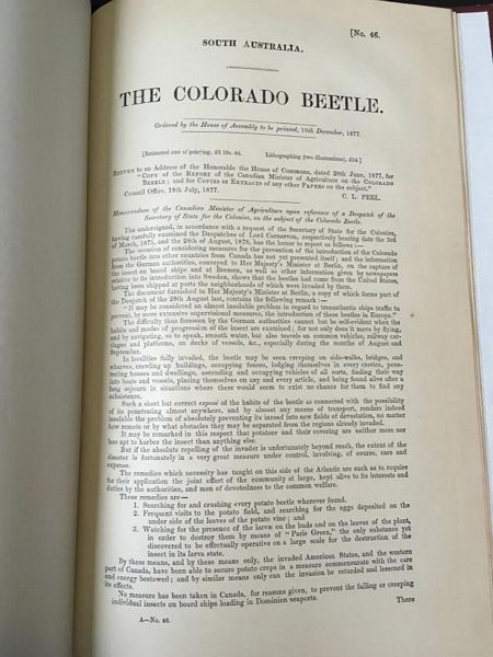 PEEL, C. L. - The Colorado Beetle. South Australia. Ordered by the House of Assembly to be Printed, 19th December, 1877.