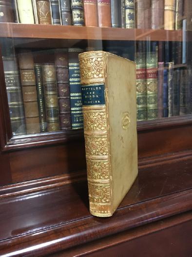 FIGUIER, LOUIS; GILLMORE, PARKER. - Reptiles and Birds A popular Account of their various orders, with a Description of Their habits and Economy of the Most Interesting.