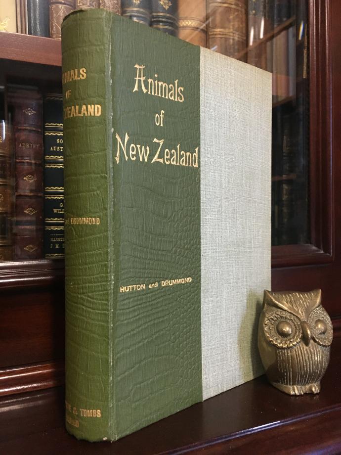 HUTTON, F. W; DRUMMOND, JAMES. - The Animals Of New Zealand. An Account Of The Colony's AIr-Breathing Vertebrates.