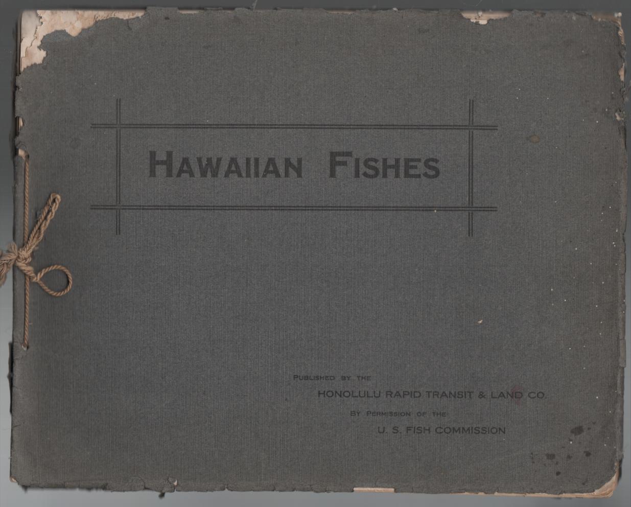 HONOLULU AQUARIUM. - Hawaiian Fishes.