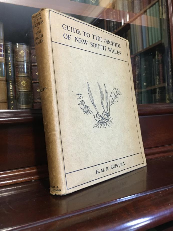 RUPP, H. M. R. - Guide to the Orchids of New South Wales. With foreword by Edwin Cheel.