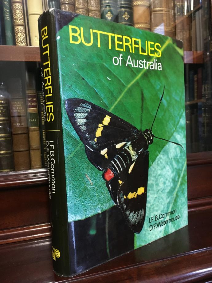 COMMON, I F B; WATERHOUSE, D F. - Butterflies Of Australia.