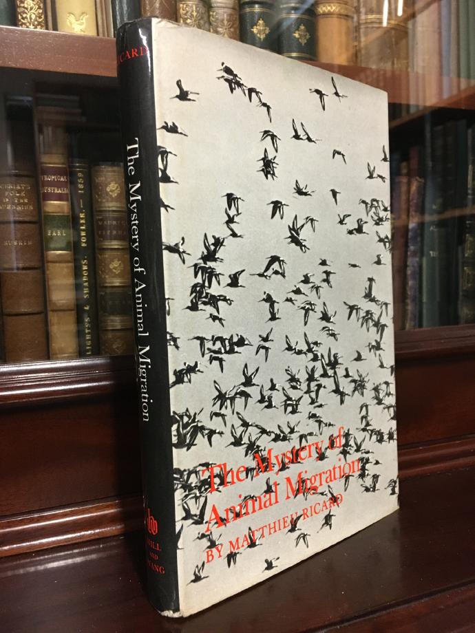 RICARD, MATTHIEU. - The Mystery Of Animal Migration. English Version by Peter J. Whitehead.