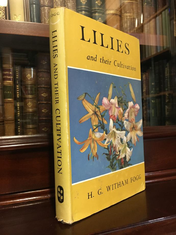 FOGG, H. G. WITHAM. - Lilies and Their Cultivation.