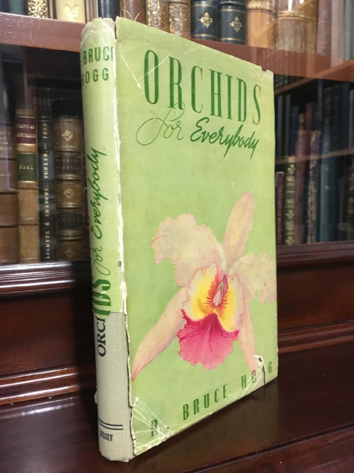 HOGG, R. BRUCE. - Orchids for Everybody: A Handbook on Culture.
