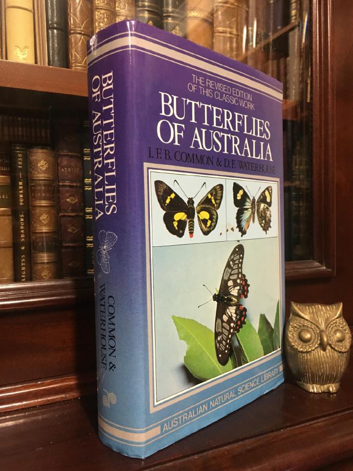 COMMON, I. F. B; WATERHOUSE, D. F. - Butterflies Of Australia- Australian Natural Science Library.